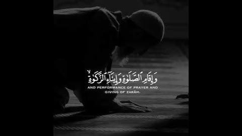 تلاوة خاشعة /عبد الرحمن مسعد /حالات واتس اب