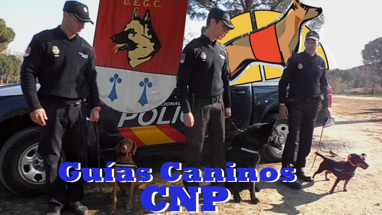 UEGC: Unidades Especiales Guías Caninos Policía Nacional