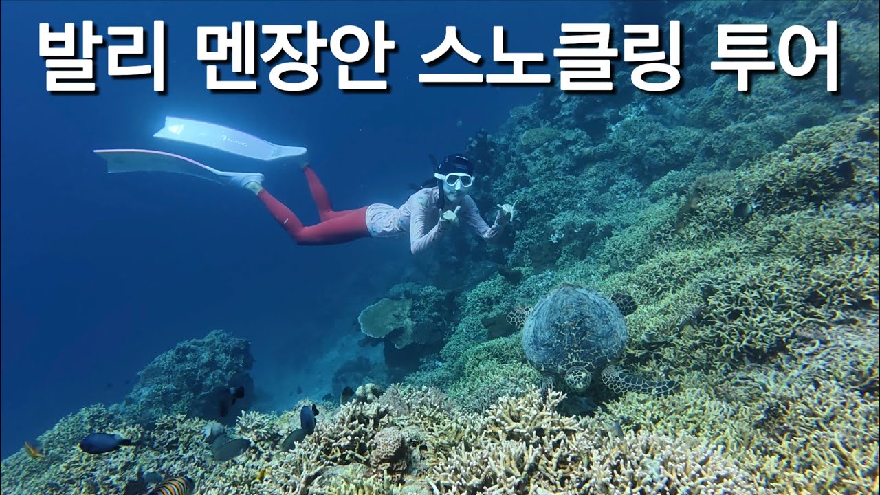 세계 3대 스노클링 포인트 발리 멘장안 프리다이빙