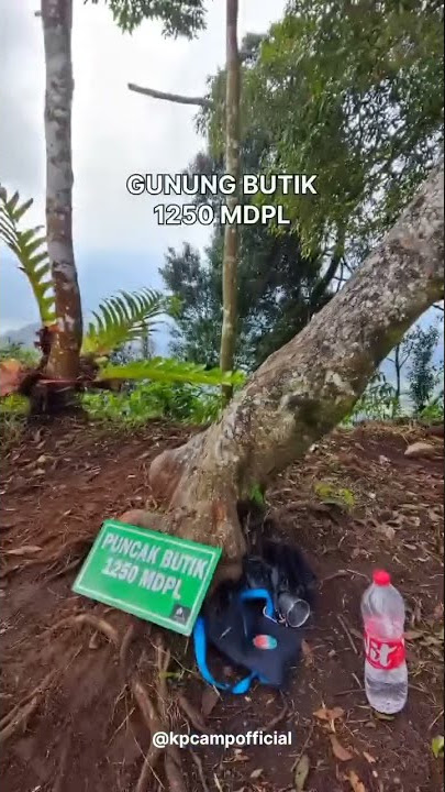 Gunung Gunung di bogor 1000 MDPL cocok untuk pemula #shorts #mountain #camping