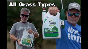 Best Weed Killer for Homeowners - All The Details You Need to Spray Safely