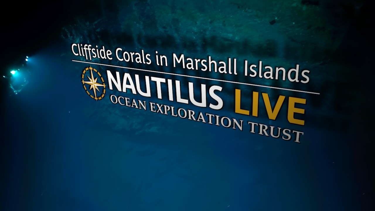 Cliffside Corals in Marshall Islands Deep Sea | Nautilus Live