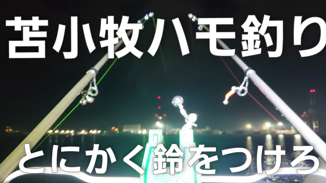 苫小牧ハモ釣り 鈴はつけろ Youtube