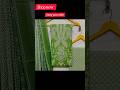 premium summer special suits / cotton suits wholesale market / ladies cotton suit#ladiessuits
