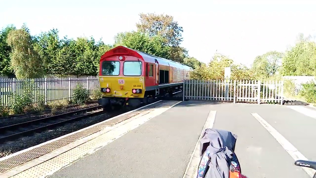 Trains at water Orton station 