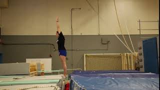 Kansas Diving Example Videos 5221D AF Ex 1
