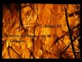 ACOMPAÑAMIENTO MUSICAL PARA CLASES DE BALLET VOL. II TRAILER DEL CD