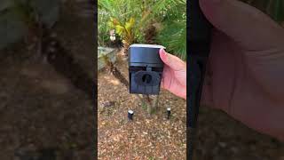 Wish I got uplighting for my landscape a long time ago! #uplighting #landscapelights