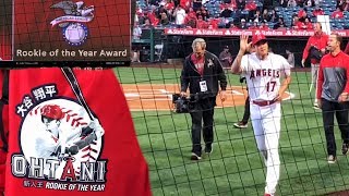 Shohei Ohtani Roy Sweater Night Angels Vlogs S2E21