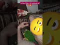 بنظر میاد ما آدم های خونگی حق و حقوقی نداریم چیکو دارچین Pets Animals Trendingshorts Relax بنظر میاد ما آدم های خونگی حق و حقوقی نداریم چیکو دارچین Pets Animals Trendingshorts Relax