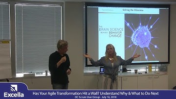 Has Your Agile Transformation Hit a Wall by Michele Madore and Michael Spayd