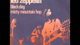 Black Dog Slowed Down