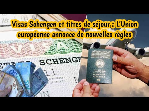 Vidéo: Notes Sur Le Renouvellement Des Visas Dans L'arrière-pays - Réseau Matador