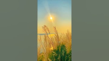 Hãy luôn mỉm cười với cuộc sống này - vì có nó mà bạn mới nhận thấy sự tồn tại của mình có ý nghĩa