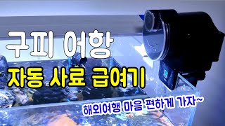 여행 마음 편하게 가자. 구피 밥은 누가줘? 어항 자동 먹이 급여기 AF2003