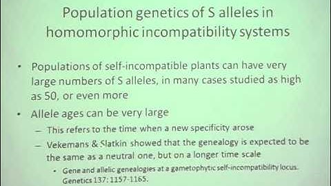 Deborah Charlesworth - Evolution of self incompatibility