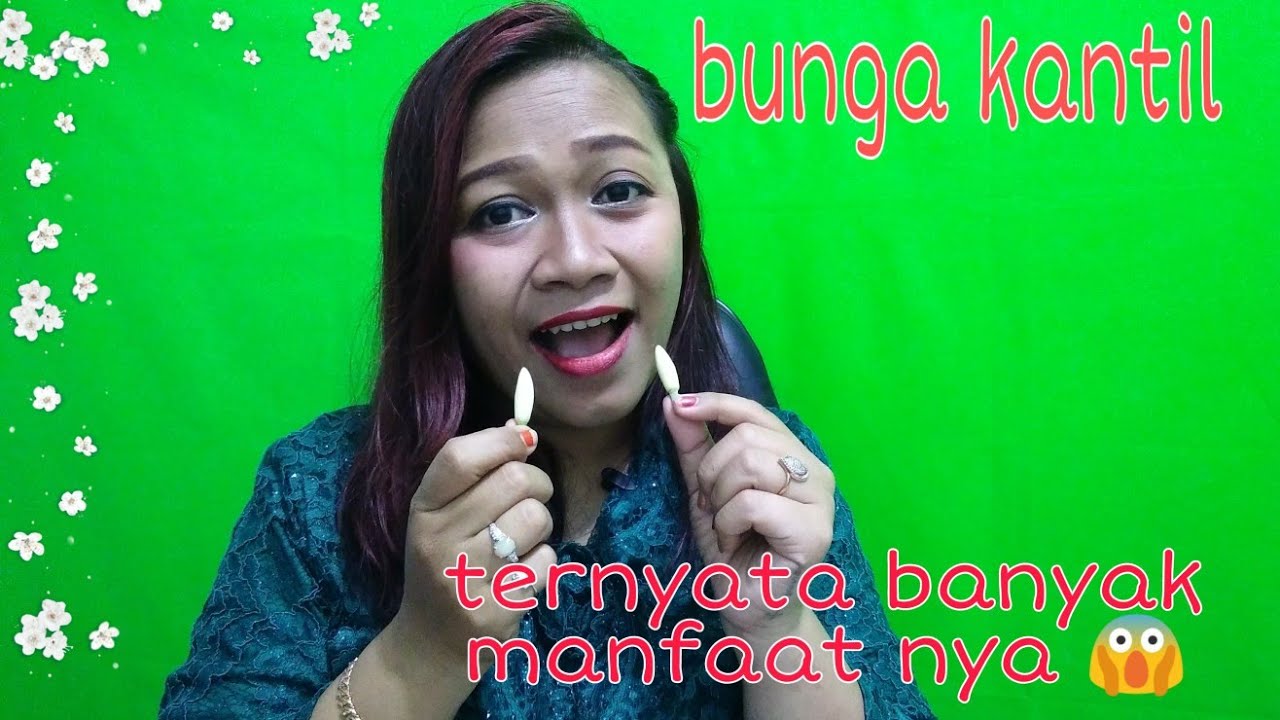 manfaat dari bunga kantil 