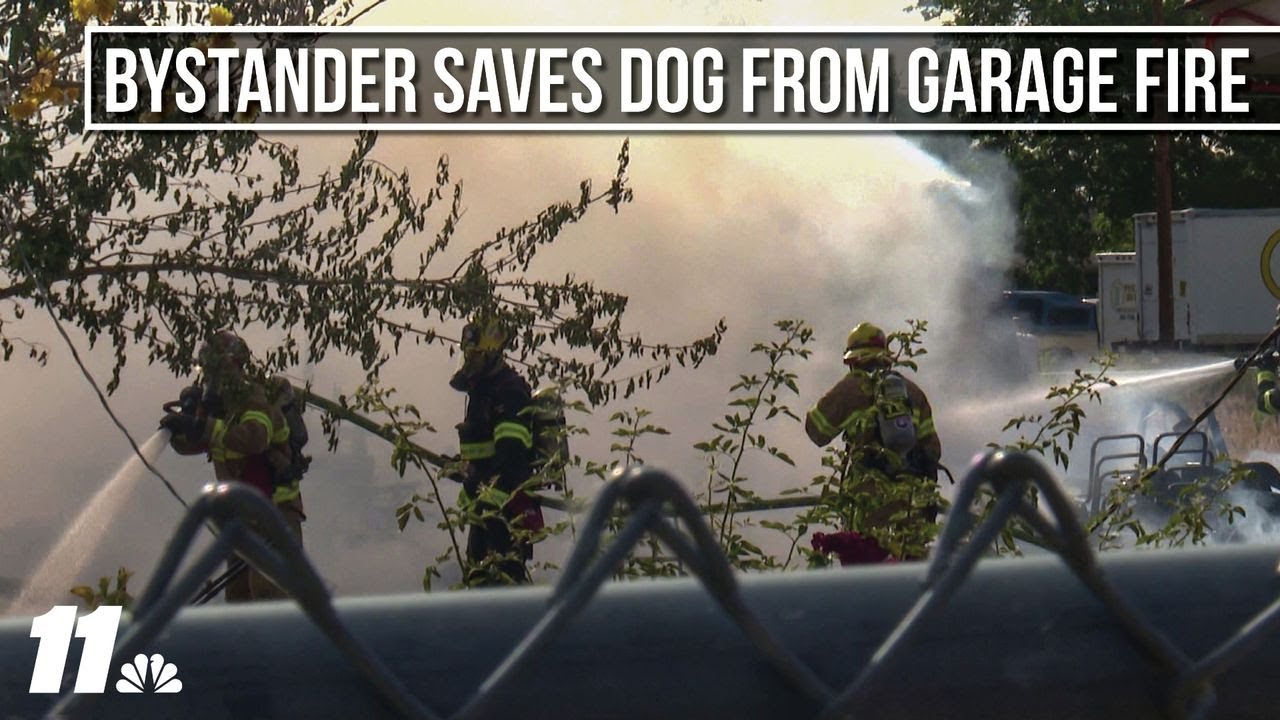 Bystander heroically saves dog from burning garage fire - YouTube