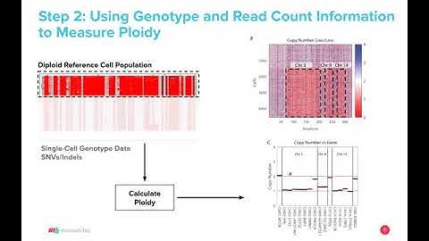 Webinar: Simultaneous analysis of SNVs and CNVs in a single cell
