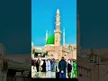 Hara Gumbad Dekhoge I Mahbub Hasan Nasheed I Things Sortfeed Sortvideo Vairalshort Shorts Hara Gumbad Dekhoge I Mahbub Hasan Nasheed I Things Sortfeed Sortvideo Vairalshort Shorts