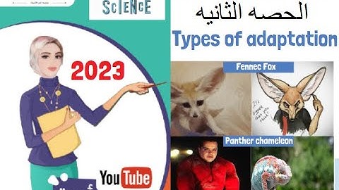 Science | Grade 4 | concept 1 lesson 2 | Adaptation and survival | ساينس رابعه| المنهج الجديد |