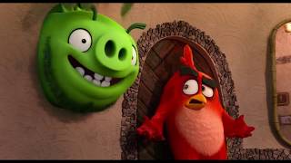 Angry Birds 2 || Captain Pig in Red's House || Very Funny Movement || VikinG AnimuS ||