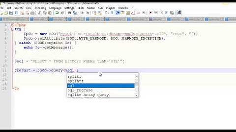 Execute a Database Query using PDO