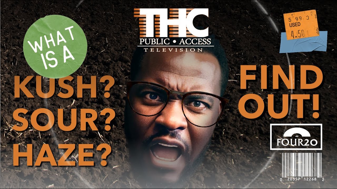 Kush, Haze, Skunk и другие: полное руководство по сортам каннабиса! | FOUR20