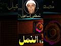 يا نهار ابيض علي الجمال ياعم الشيخ مصطفي قال عفريت من الجن