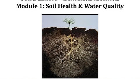 Soil Builders: Education in Action - Module 1: Soil Health & Water Quality