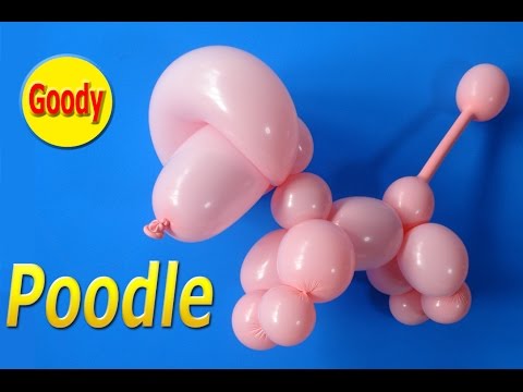 バルーンアート Balloon Art バルーンアートを始めよう プロの裏技をご紹介 Poodle Balloon プードルの作り方 バルーンアートかねさん Kanesan Youtube