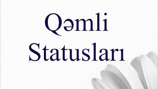 Qemli̇ Statuslar