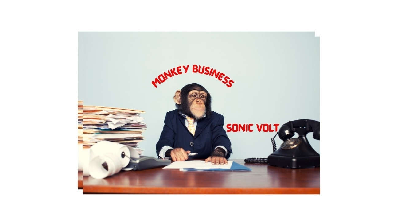 Monkey Business Official Video With Lyrics auf YouTube ansehen Monkey Business Official Video With Lyrics auf YouTube ansehen