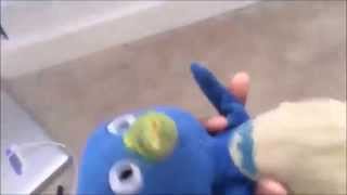 Pablo Im Blue Verison Mult Mix Video Short