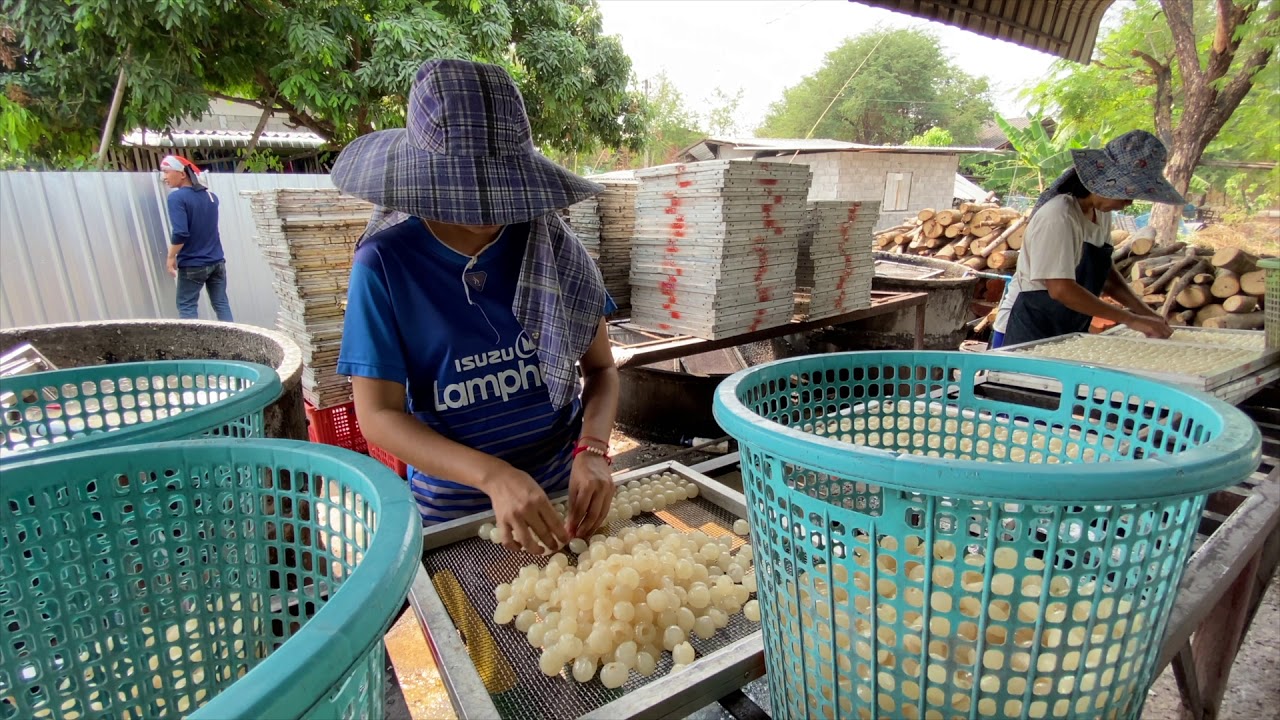 ลำใยอบแห้งเนื้อสีทอง ภูมิปัญญาท้องถิ่นพัฒนาจนได้มาตราฐานคุณภาพสร้างชื่อเสียงเป็นที่ยอมรับในทุกระดับ