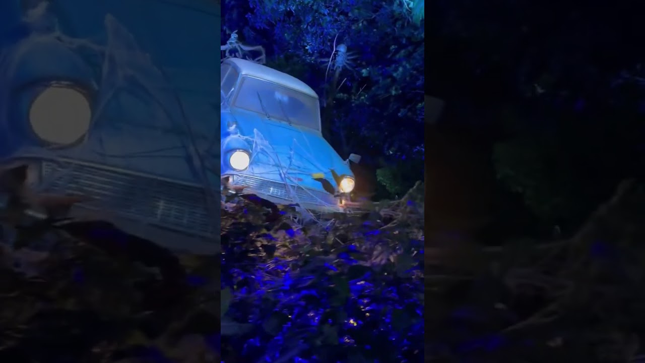 Harry potter's flying Ford Anglia | Harry potter and the chamber of secrets