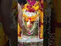 Mahakal Aarti Ujjain 🌹♥️#mahakaleshwar #ujjainmahakal #love