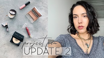 PROJECT PAN 2019 📅 6-MONTH UPDATE (lots of pan porn)