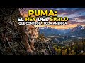 Puma: El Rey del Sigilo Que Controla Toda América