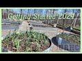 Garden 2024 clean up compost is ready and planting early seeds