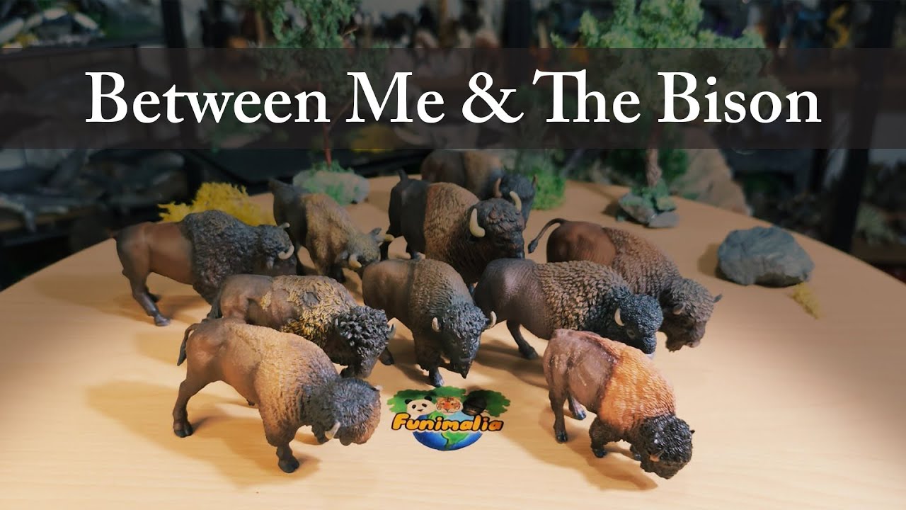 Can’t Pick a Favorite Bison ??…