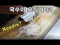 국수처럼 뽑아내는 오징어 회썰기 달인 a squid master / korean food [맛있겠다 Yummy]