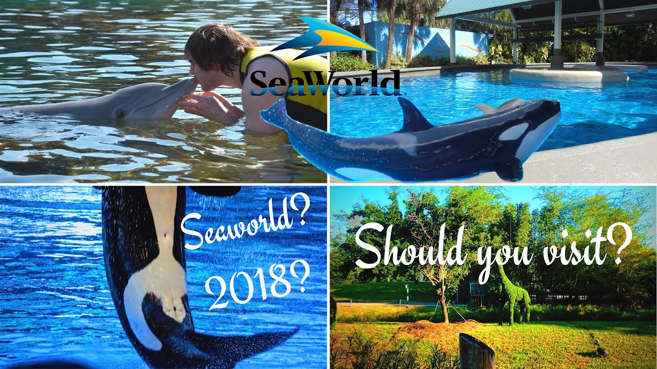 is-seaworld-worth-visiting-in-2018-the-truth-revealled-planet-mark