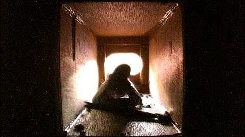 Young swift leaving nest box