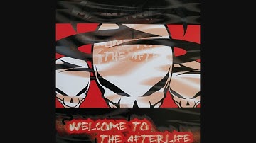 Afterlife Recordz: Welcome To The Afterlife [2000]