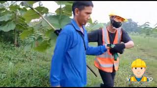 Praktik Penerapan K3 Pembinaan Hutan Diklat Ganis Phpkb 2021