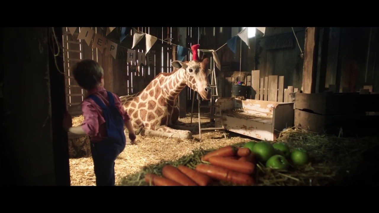MEIN FREUND, DIE GIRAFFE TRAILER YouTube