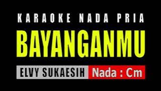 BAYANGANMU - NADA PRIA ( ELVY SUKAESIH )