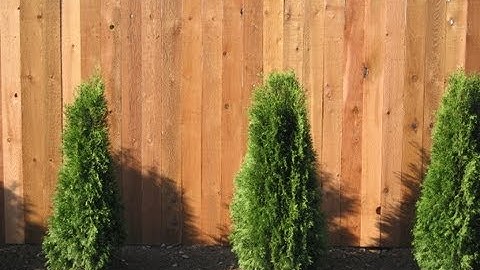 HOW TO INSTALL A CEDAR FENCE!! (part 2)