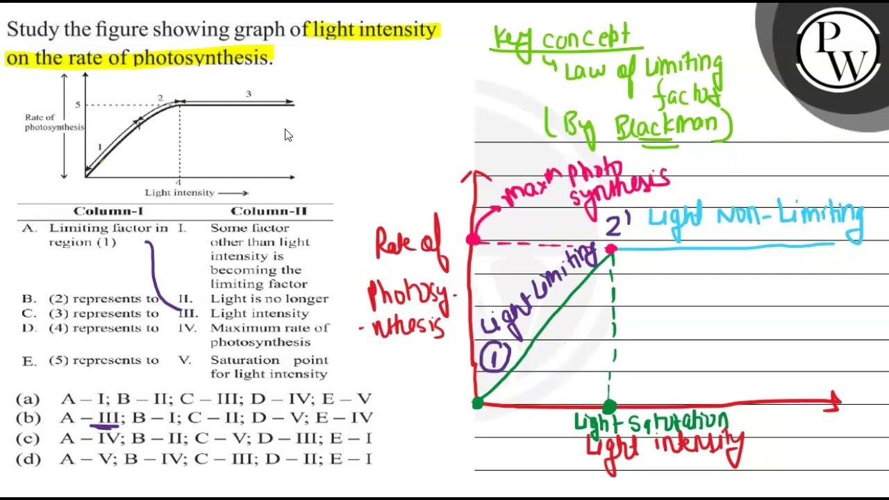 Study the figure showing graph of light intensity on the rate of ph...